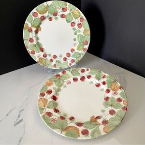SET of 2 Strawberry Dinner Plates by Royal Stafford